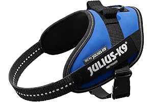 IDC Powerharness: The Supreme Dog Harness for Your furry friend Julius K9