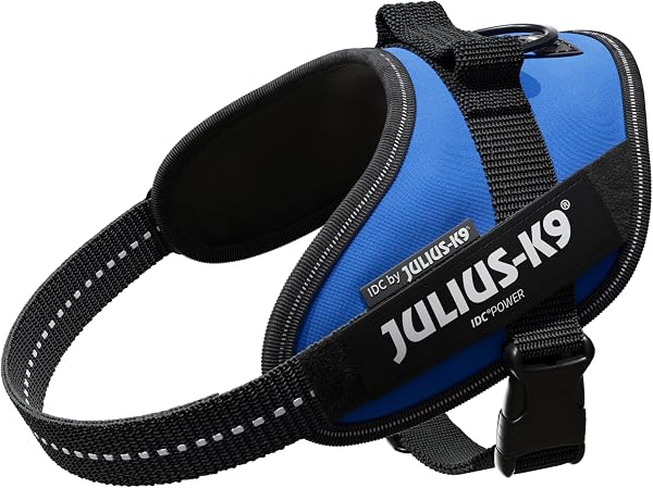 Julius-K9 IDC Powerharness Blue for Small Dogs