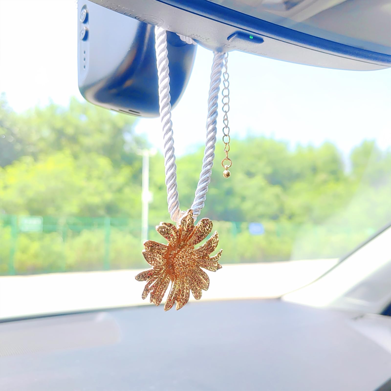 Pendentif Plante Suspendue Pour Rétroviseur Voiture - Décoration Intérieure Mignonne - Cadeau Original