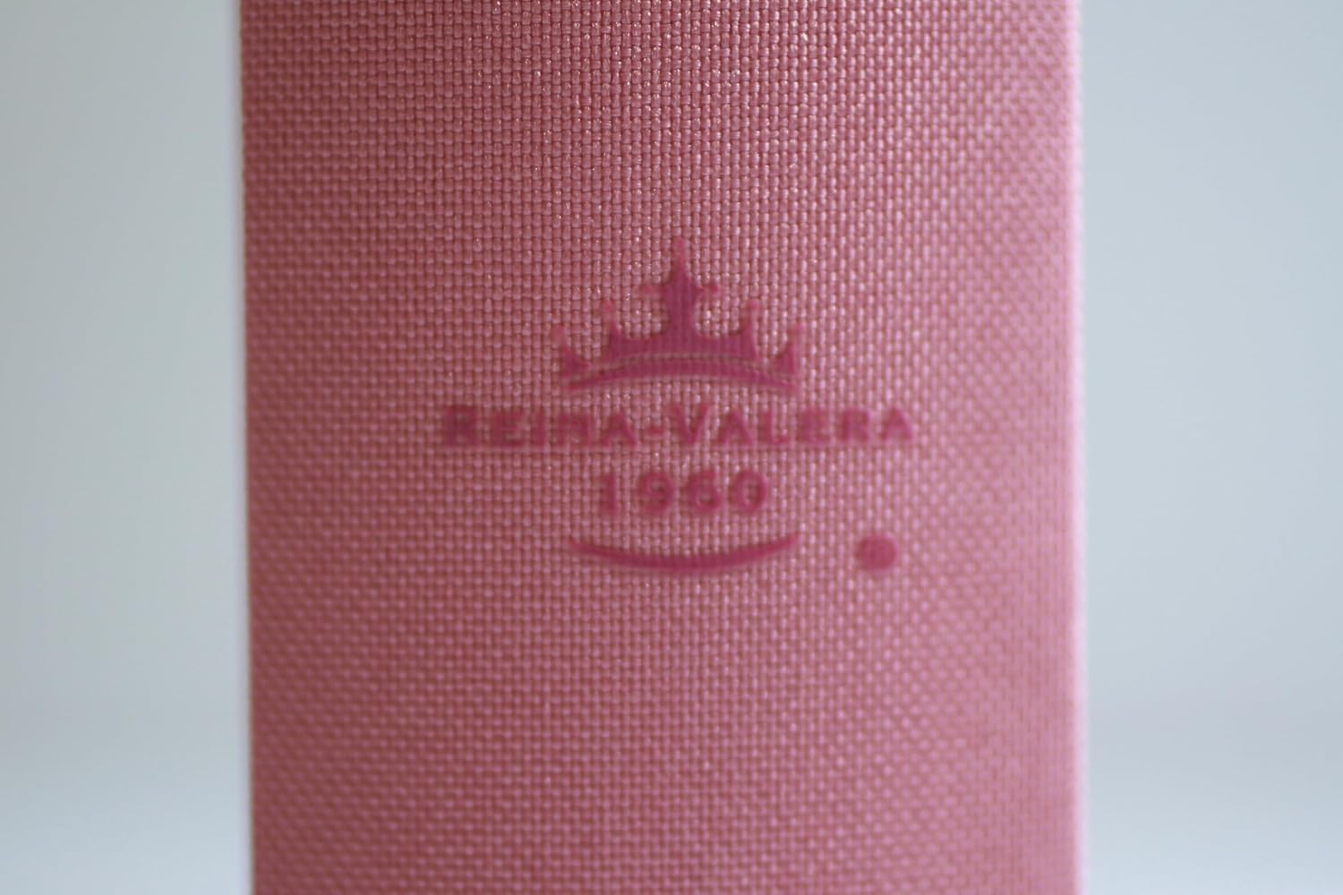 Biblia de Apuntes RVR 1960. Tapa dura, rosada con flores / Spanish Journalling Bible RVR 1960 Hardcover Pink with Flowers (Spanish Edition)      Hardcover – January 6, 2026
