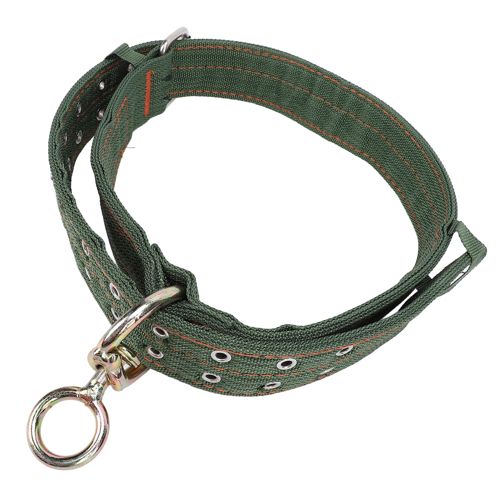 tau halsband hund Halsband Tau  Myle-Store