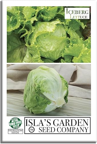 Semillas de lechuga iceberg para plantar, más de 2500 semillas tradicionales por paquete, semillas de jardín de Isla (semillas de jardín de Isla),