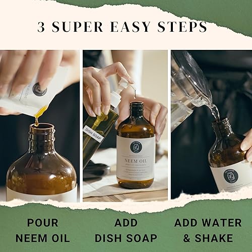 Miniatura 4 de Recambio de aceite de neem para plantas  Aceite de neem para jardín interior y exterior  5 sobres de aceite de neem 100% puro prensado en frío, hace