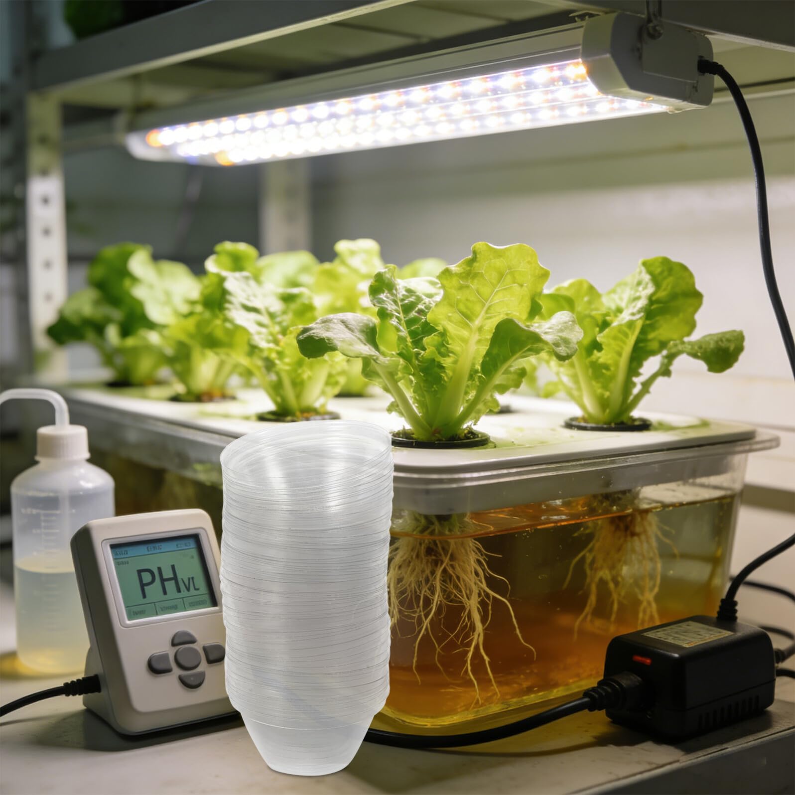 TOYANDONA 200 Unidades Cúpulas Protectoras para Plantas Cubierta Transparente de Plástico para Invernadero y Cultivo Hidropónico Campana para Macetas de Vivero Resistente al Frío y