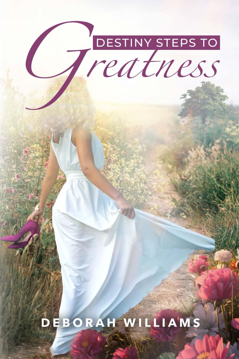 Destiny Steps to Greatness