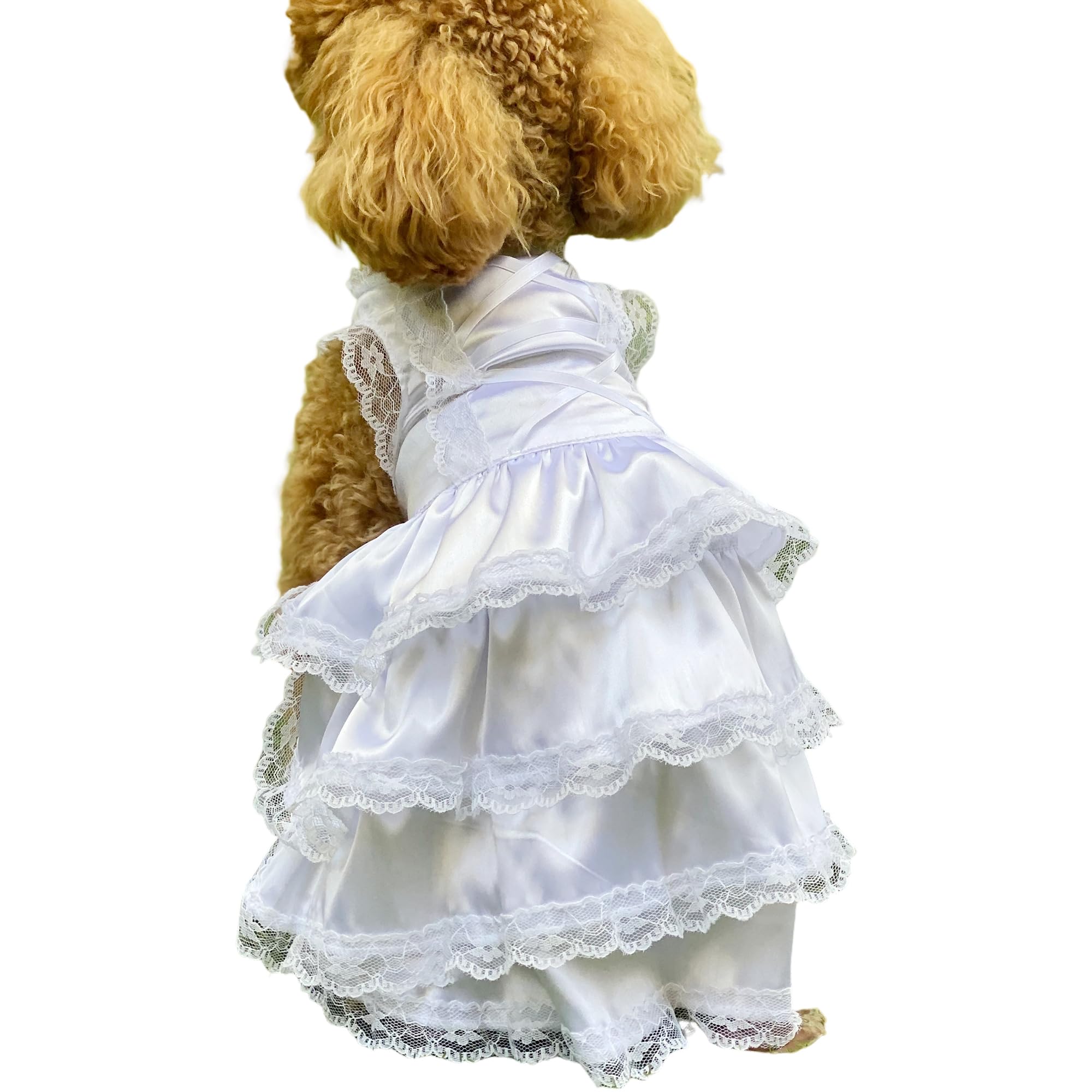 Wedding Dress with Head Pieces, Luxury Lace Bride Costume for Dogs - Soft Comfortable Party Dress, Pet Apparel for Small Medium Large Dogs, White M