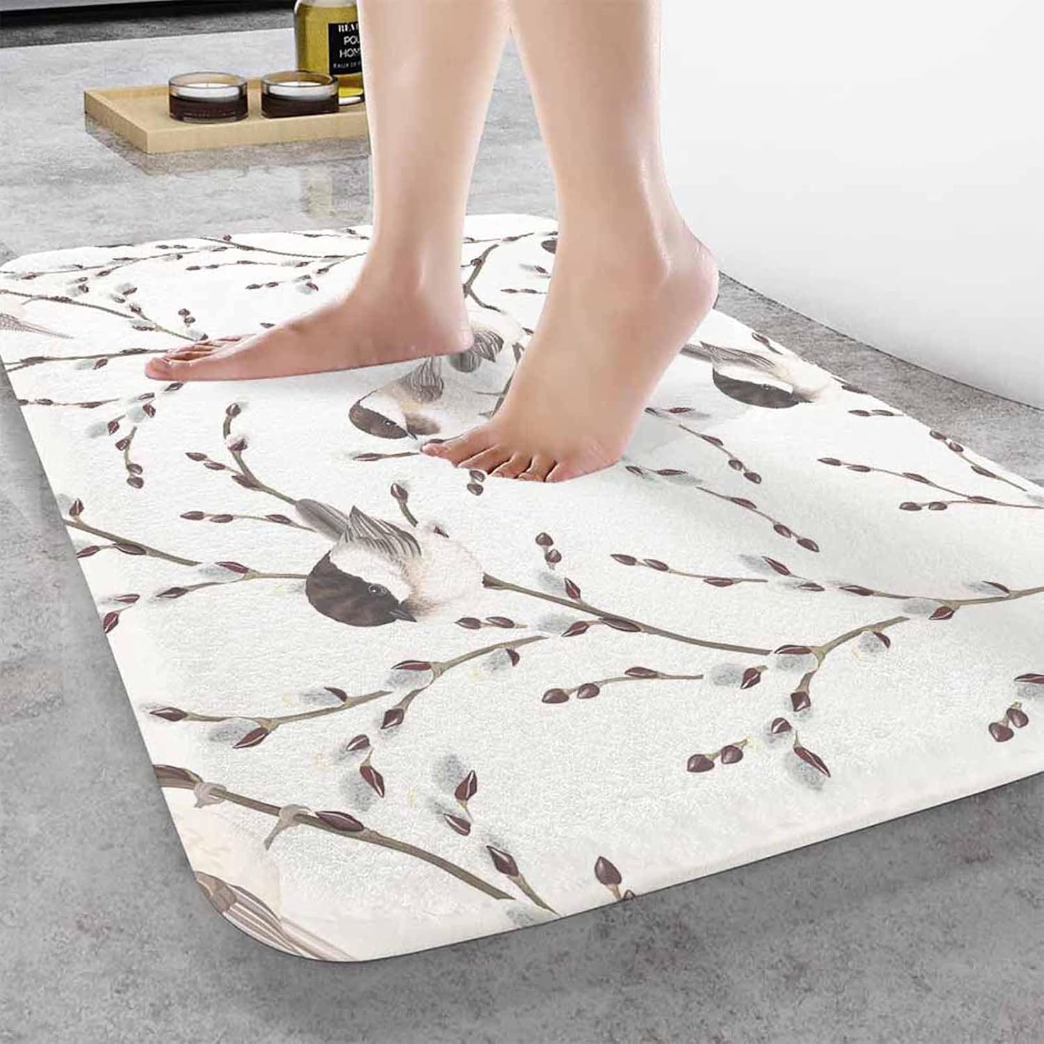 Bird Bath Rugs Willow Branches and Birds Chickadee Microfiber Bathroom Mat Soft Plush Shaggy Shower Mat for Bathroom Fluffy Comfortable Water Absorbent Carpet Non-Slip Machine Washable 20"X30"