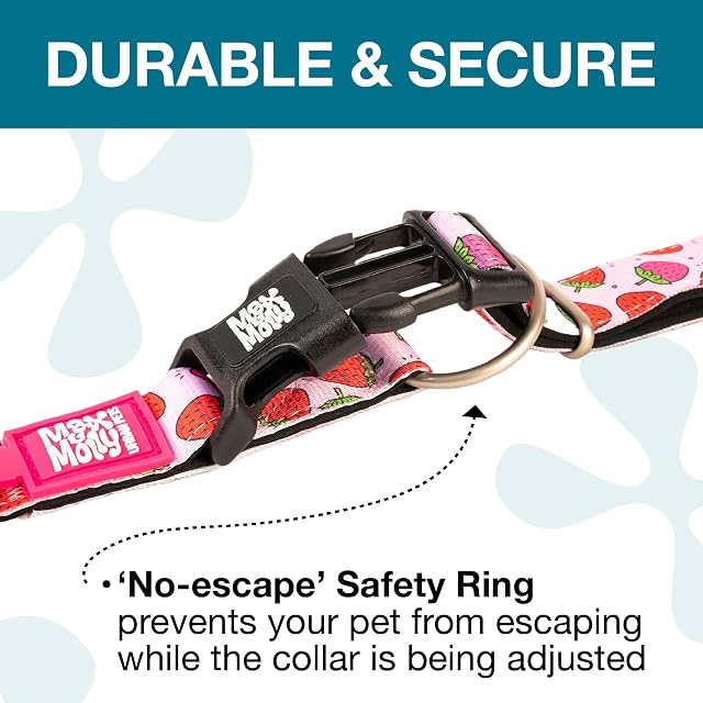 Foto 4 de 7 de MAX & Molly - Collar para Perro y Cachorro con Hebilla eléctrica, Estilo Divertido para Perros pequeños…