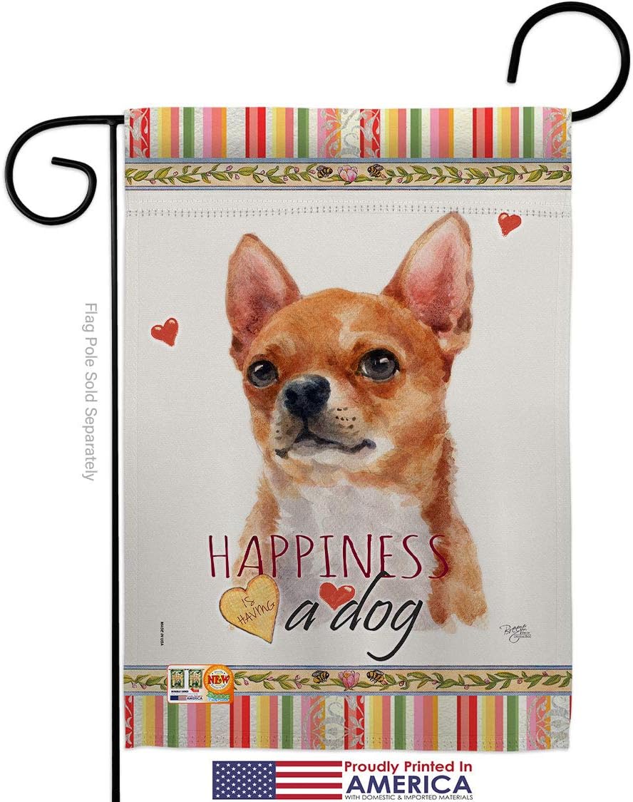 Shorthair Chihuahua Happiness Garden Flag Set Wall Holder Animals Dog Puppy Spoiled Paw Canine Fur Pet Nature Farm Animal Creature Small Gift Yard House Banner Made In USA 13 X 18.5