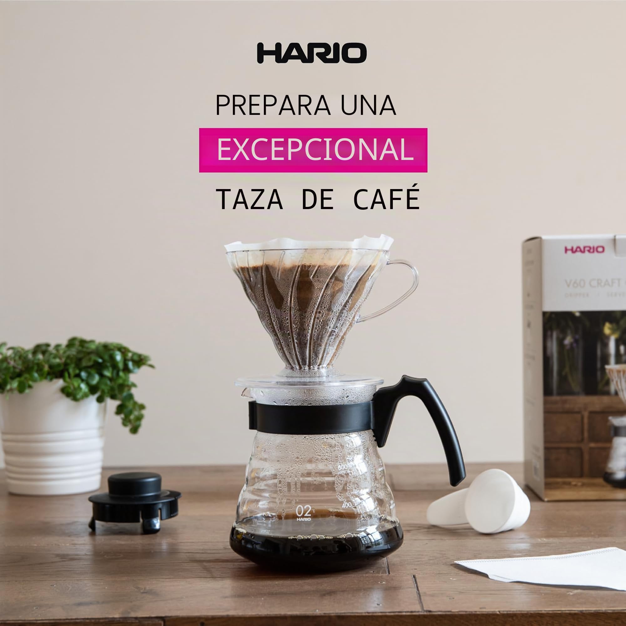 Hario Gotero de plástico Craft Kit V60 con cafetera de vidrio, cuchara dosificadora y filtros, borosilicato, negro, tamaño 2