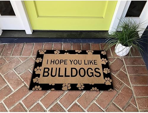 FXGZHAO Felpudo de bienvenida de 30 pulgadas de largo x 18 pulgadas de ancho, divertido felpudo para entrada, para interiores, antideslizante,