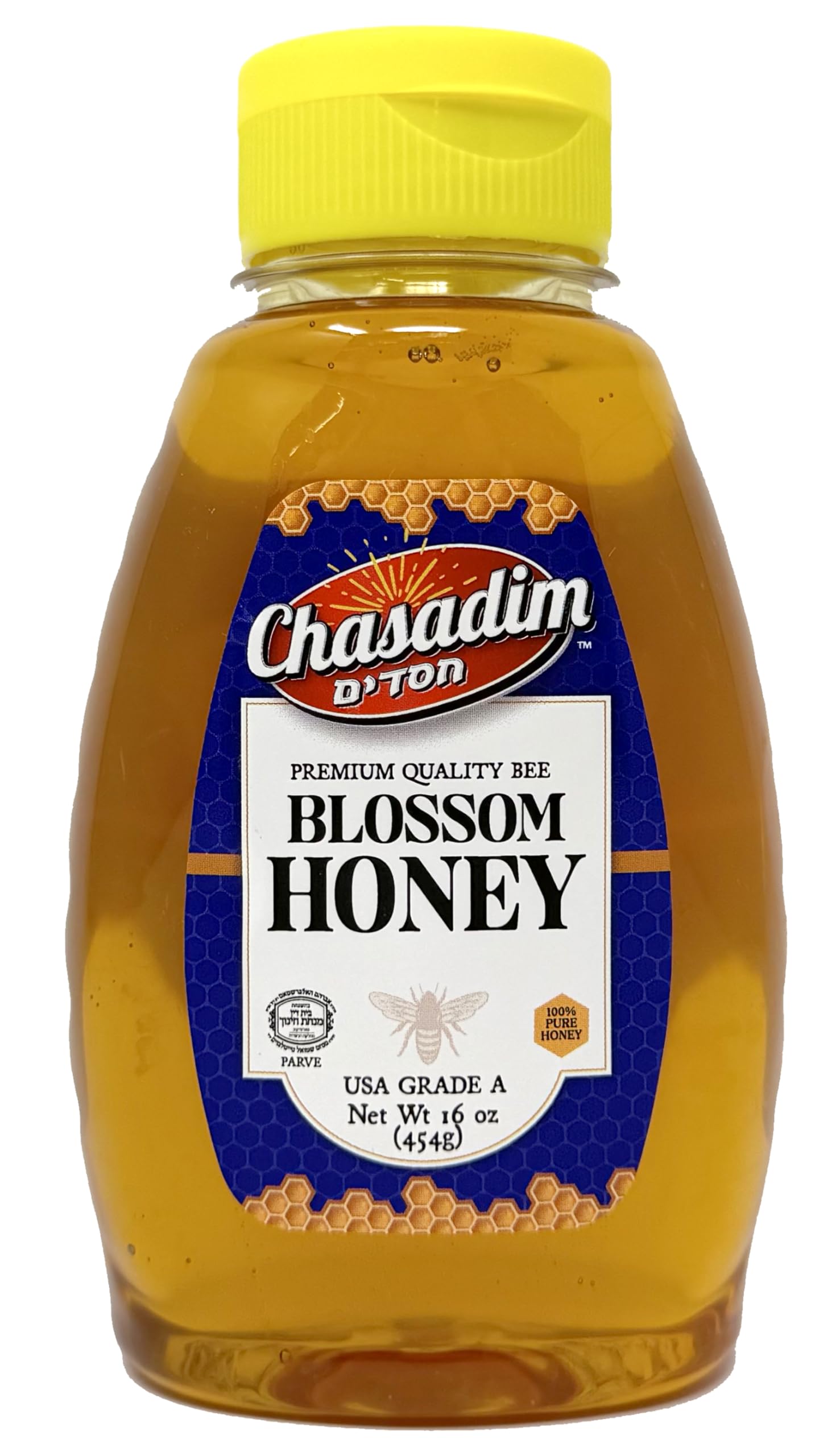 Galil Chasadim Blossom Honey USA Grade A Honey Kosher For Passover Honey – 100% Pure Honey (16 Ounce)