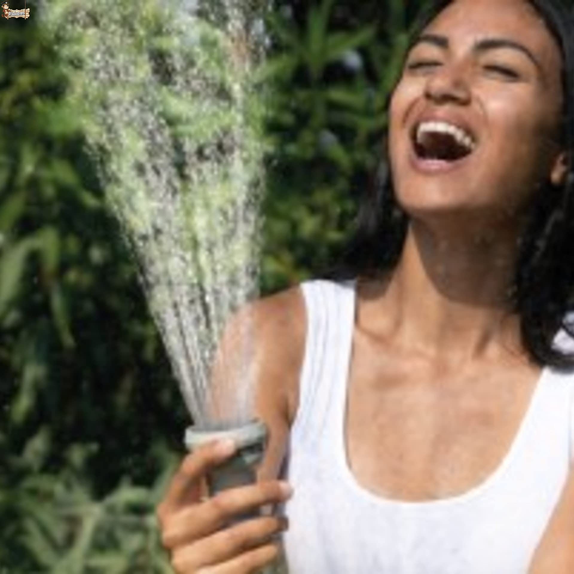BricoLoco Kit Tubo da Giardino Estensibile Avvolgibile 20 Metri con Pistola 6 getti e 2 Giunti Rapidi Irrigazione Terrazzo Giardino Patio Antitorsione (20)
