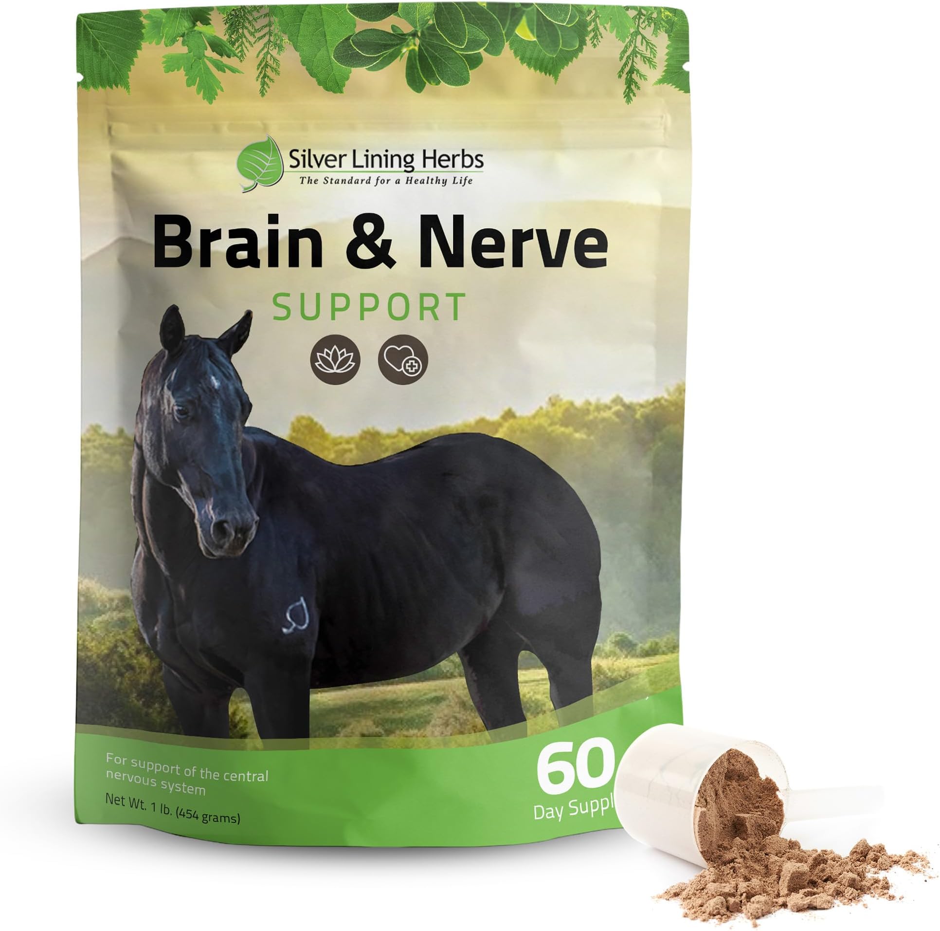 11 Brain & Nerve Support for Horses - Equine Herbal Blend Improves Focus, Short Attention Span, and Behavior - Promotes Mental Health, Focus and Good Behavior - 1 Pound Bag