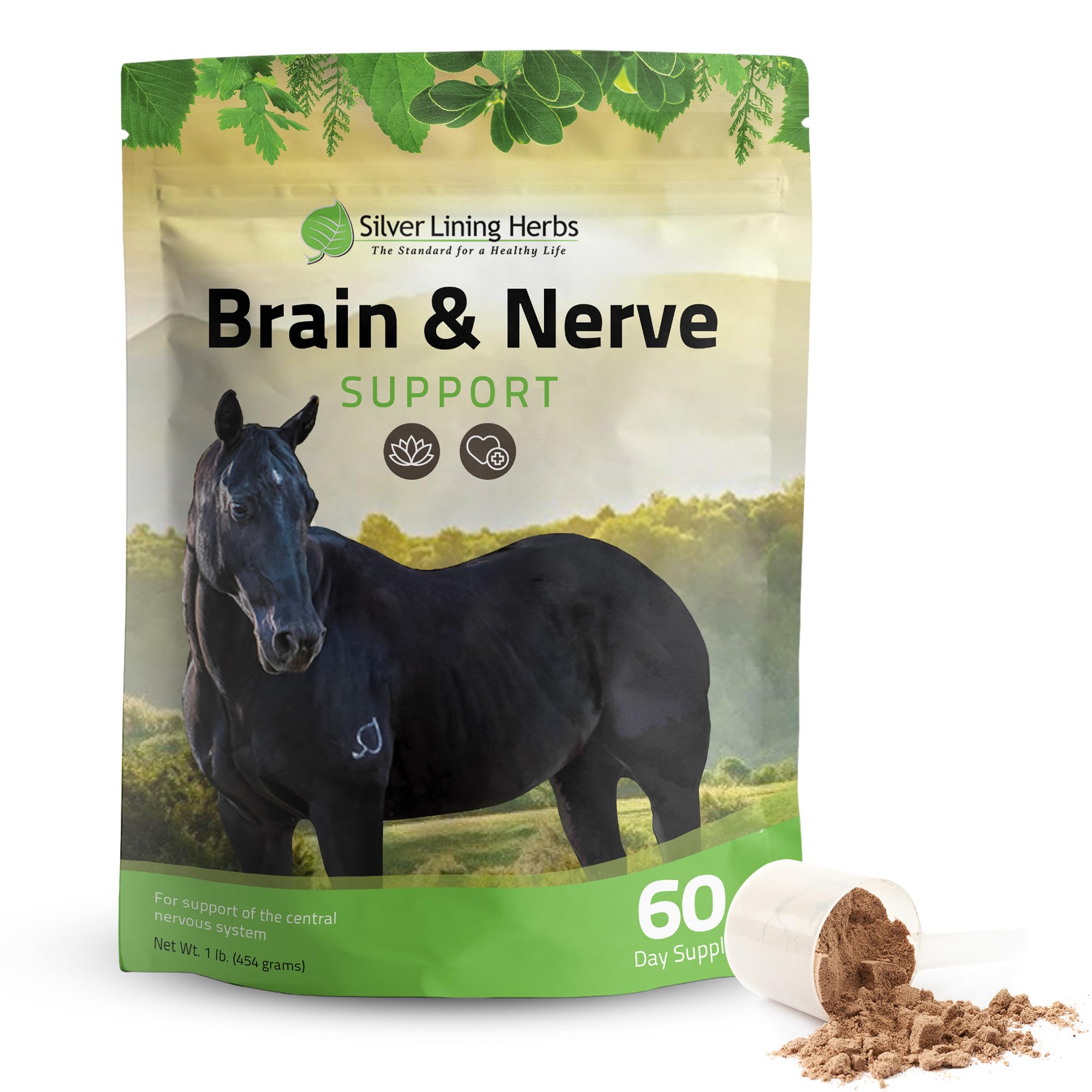 Silver Lining Herbs 11 Brain & Nerve Support for Horses - Equine Herbal Blend Improves Focus, Short Attention Span, and Behavior - Promotes Mental Health, Focus and Good Behavior - 1 Pound Bag