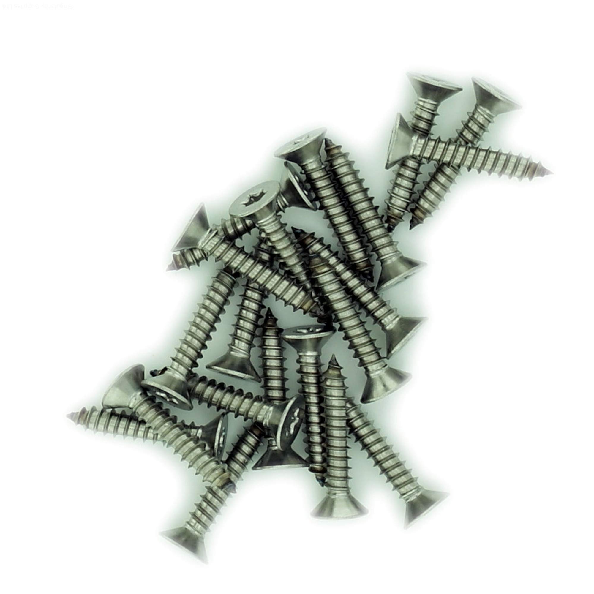 Singularity Supplies Silver No.12 X 1.25 (5.5Mm X 32Mm) Tx Countersunk Self-Tapping Screw - Stainless Steel (A2) (Pack Of 20)