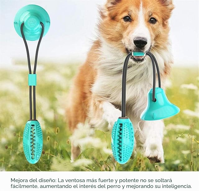 Foto 5 de 8 de Vandove Juguete de Mordedura de Molar, Juguete Ventosa Interactivos, Juguete Mordedor para Mascotas