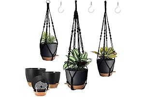 3 Pack Self Watering Hanging Planters - The Perfect Addition to Your Home Decor