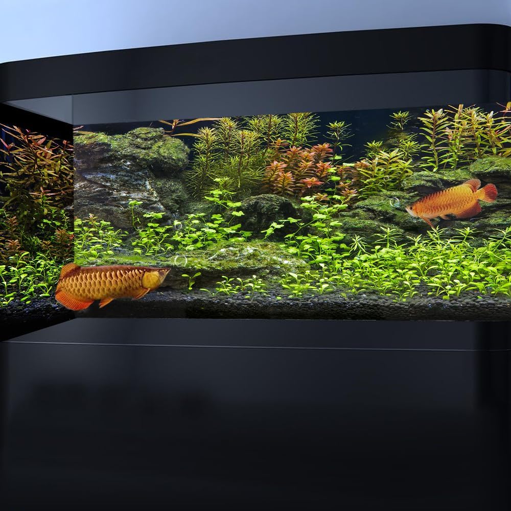 48X24IN Sea Floor Stone Aquatic Plant Aquarium Background, Green Natural Landscape Black Rock Fish Tank Decorations Background, Nature Art Terrarium Background with 10 EVA Double-Sided Tape
