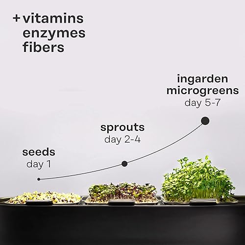 Miniatura 3 de ingarden Microgreen Superfood - Almohadillas de semillas de col rizada - Densas en nutrientes  Orgánico certificado por USDA  Cultivado en 1 semana