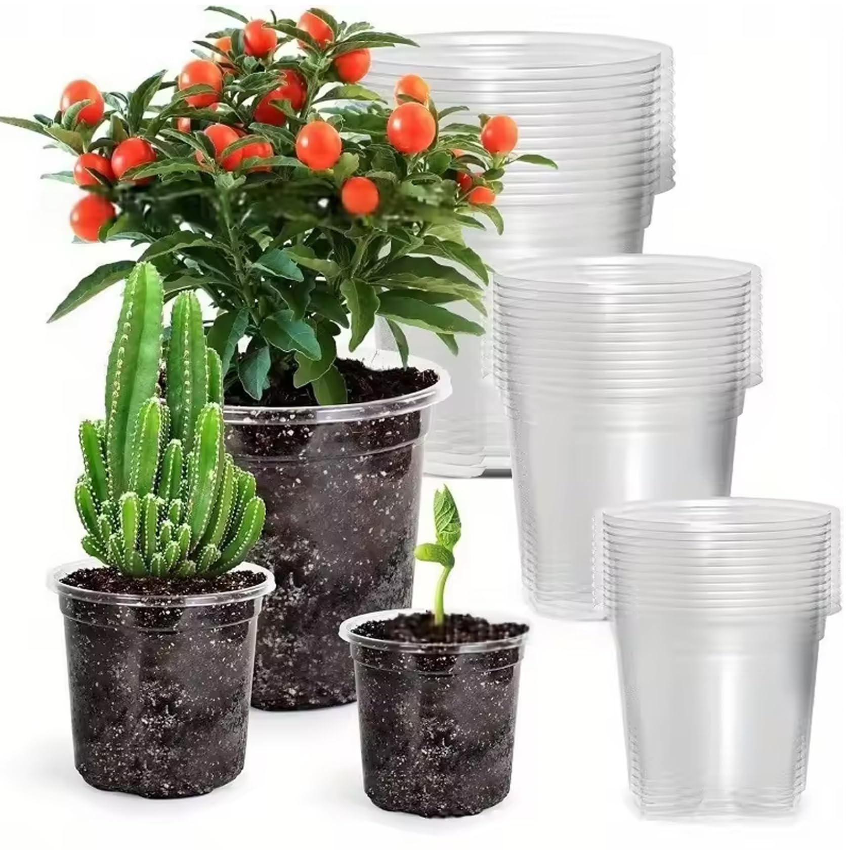 Pots de pépinière transparents plastique réutilisable pour stopper le pourrissement des racines