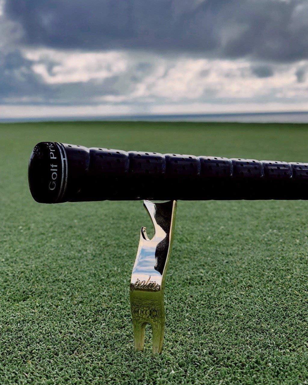 Review Palm Divot Repair Tool