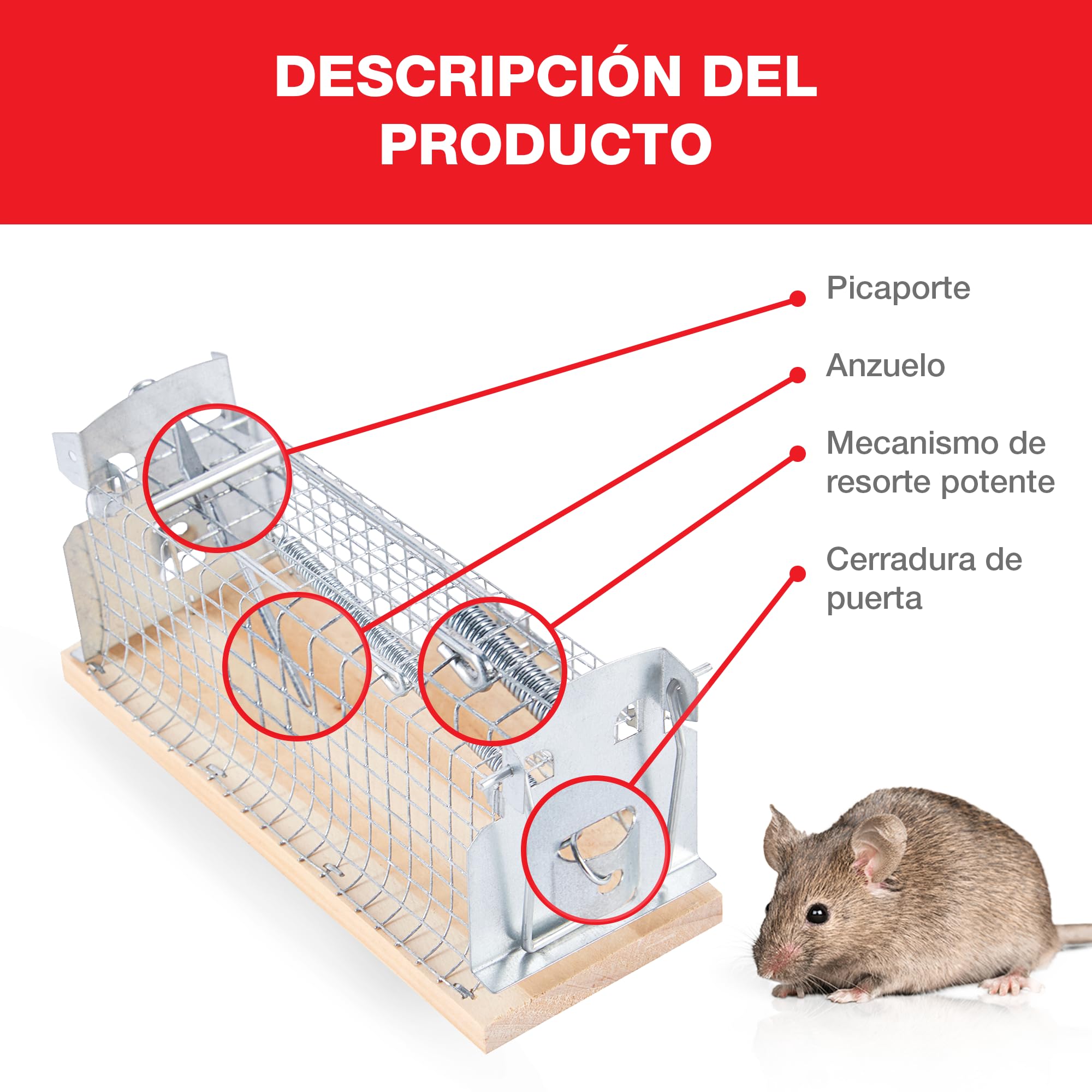 SWISSINNO Jaula para Ratones, Construida en madera y metal, Atrapar + soltar, Diseño seguro, Uso interior y exterior, Segura para niños y mascotas, Fabricado en Europa, 1x Trampa