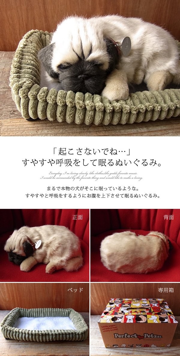 Amazon.co.jp: ニニアンドキノ パーフェクトペット (小サイズ) パグ