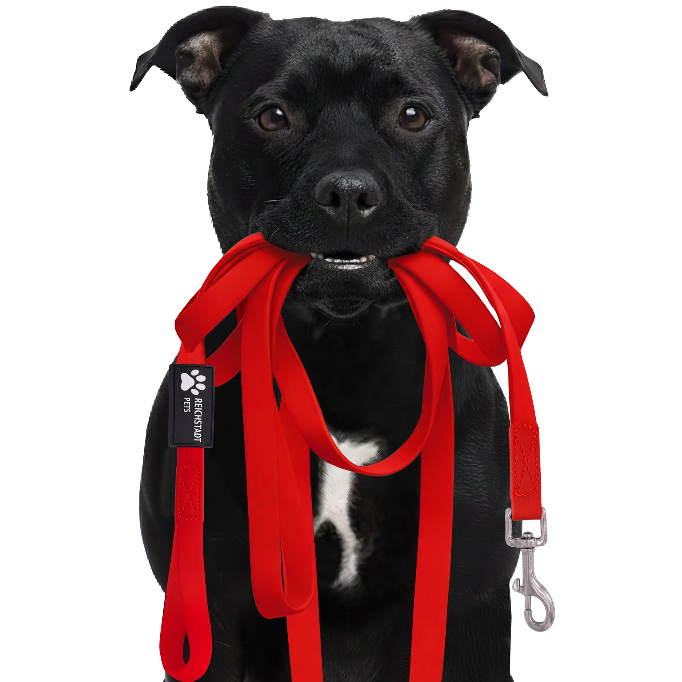 Reichstadt Pets Guinzaglio robusto in PVC per cani – impermeabile, superficie antiscivolo | Moschettone in acciaio inox a 360°, facile da pulire e resistente alle intemperie Red 15m