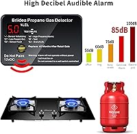 Vista 4 de Alarma de propano para RV, detector de gas propano briidea con alarma fuerte de 85 dB, 12 VCC, color negro