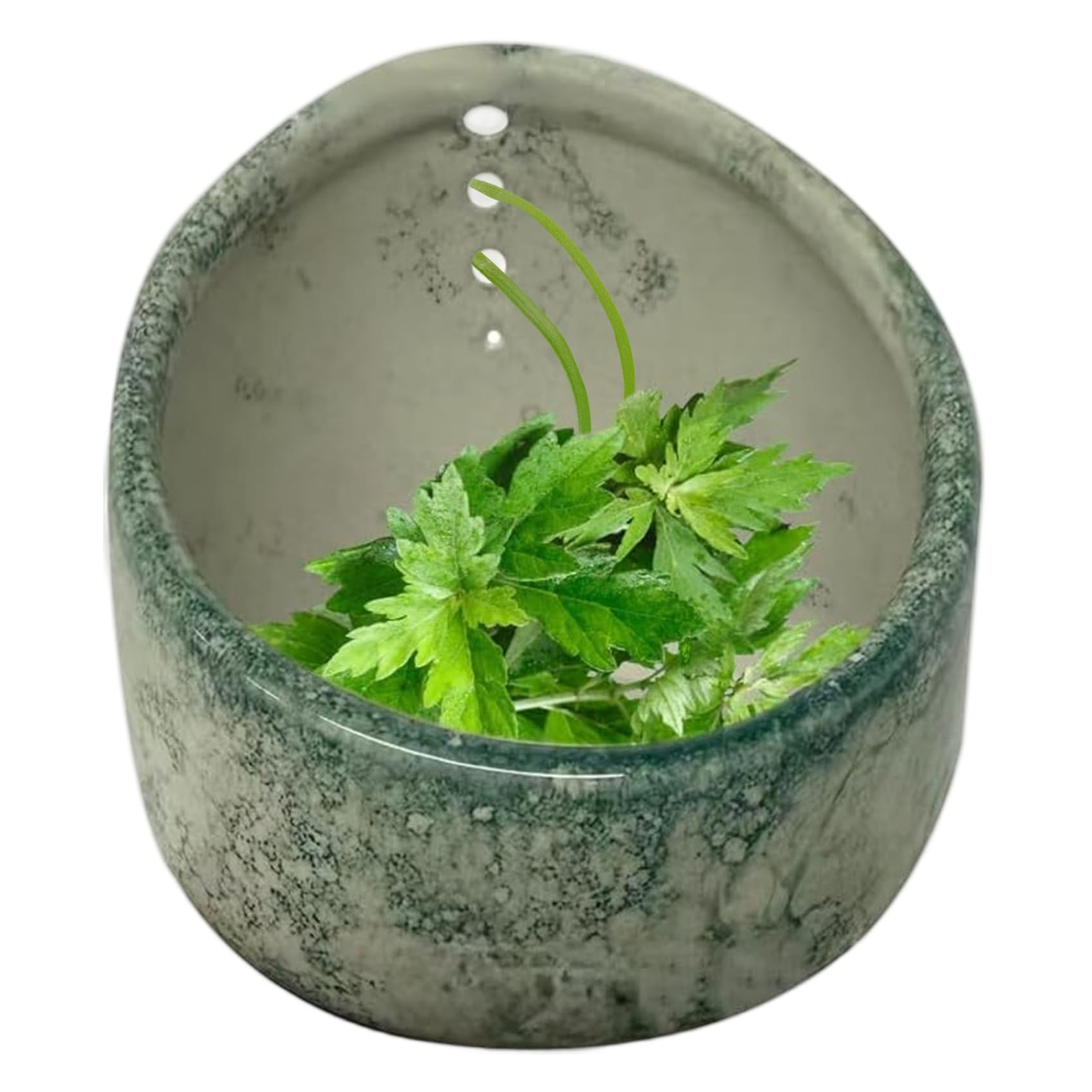 Bol à herbes décapage herbes fraîches céramique extracteur de feuilles et tiges pour cuisine