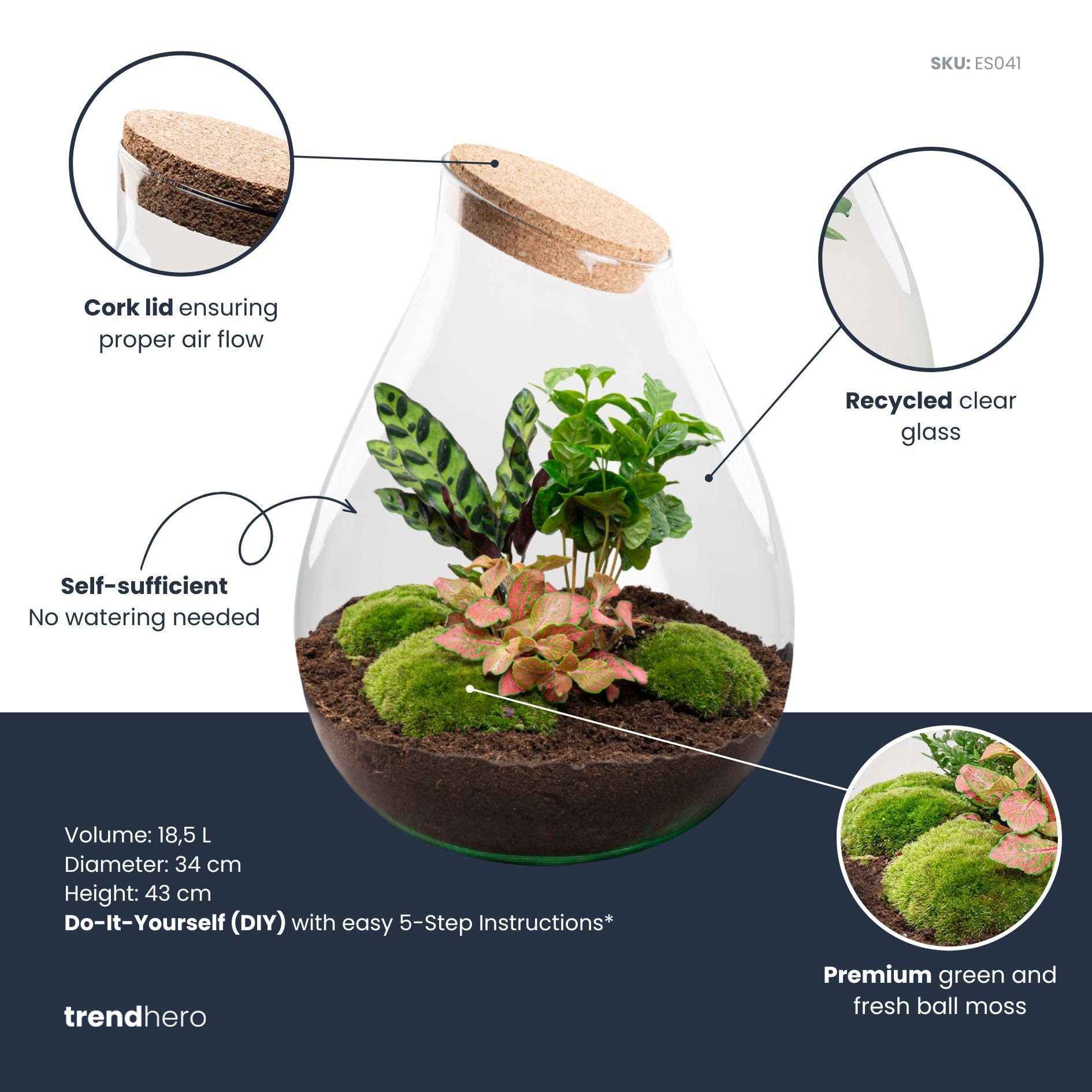 urbanjngl - Drop XXL Rotes Pflanzen Terrarium mit Kork - DIY Kit für EIN nachhaltiges Ecosystem - Ø 34 cm, Höhe 43 cm