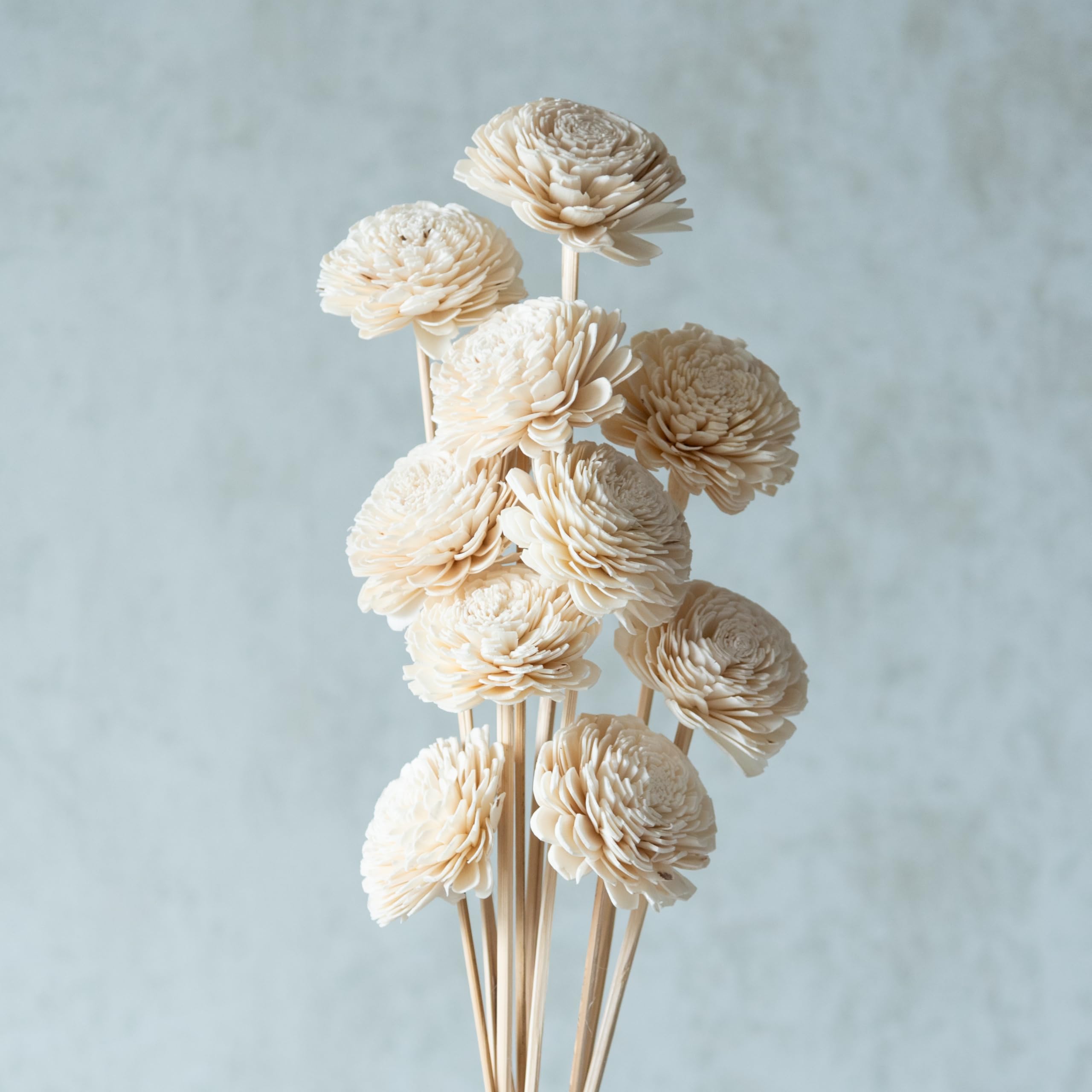 Flowers and Fillers || White Sola Belly 8 cm On Stem (10 Sticks) | Natural Dried Flower | Eco-Friendly Flowers for Home, Office, Bedroom, Table Decoration and Craft Items Corner (Without Vase Pot)