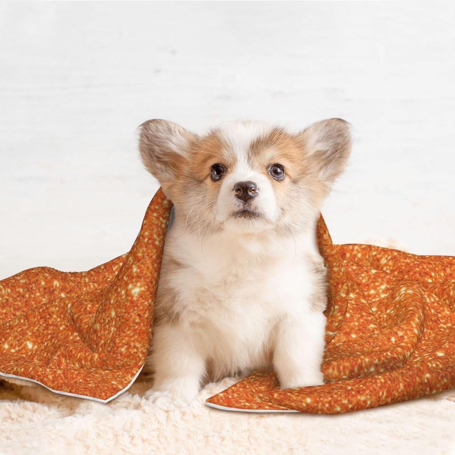 review Orange Glitter Waterproof Dog Blanket - Soft Plush Throw Protects Bed, Couch, Or Car from Spills,Scratching, Or Pet Fur - Small