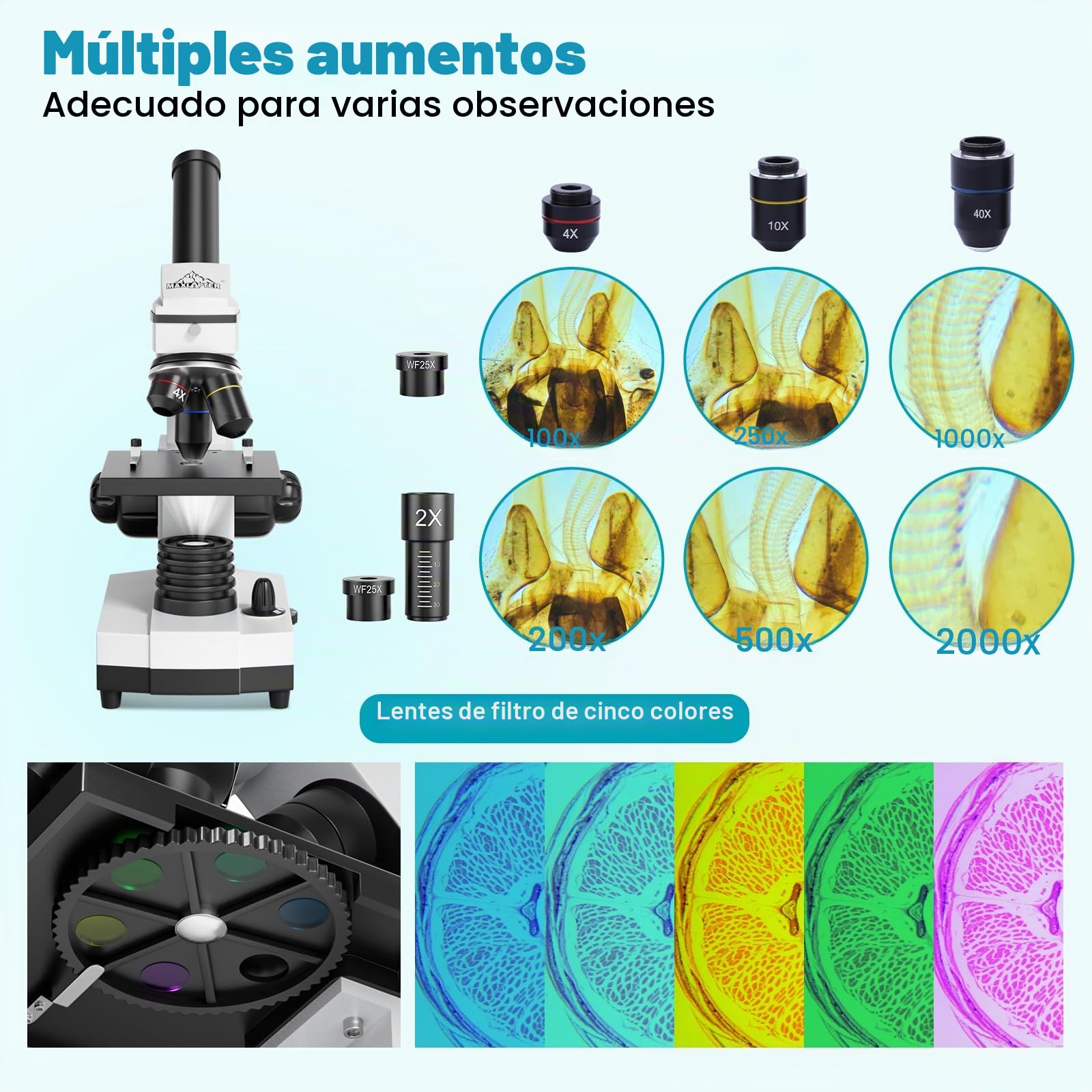 Microscopio Monocular para Estudiantes Niños, Aumento de 100-2000x, Potente Microscopios Biológico Educativo con Adaptador teléfono, Muestras Biológicas, operación Equipo