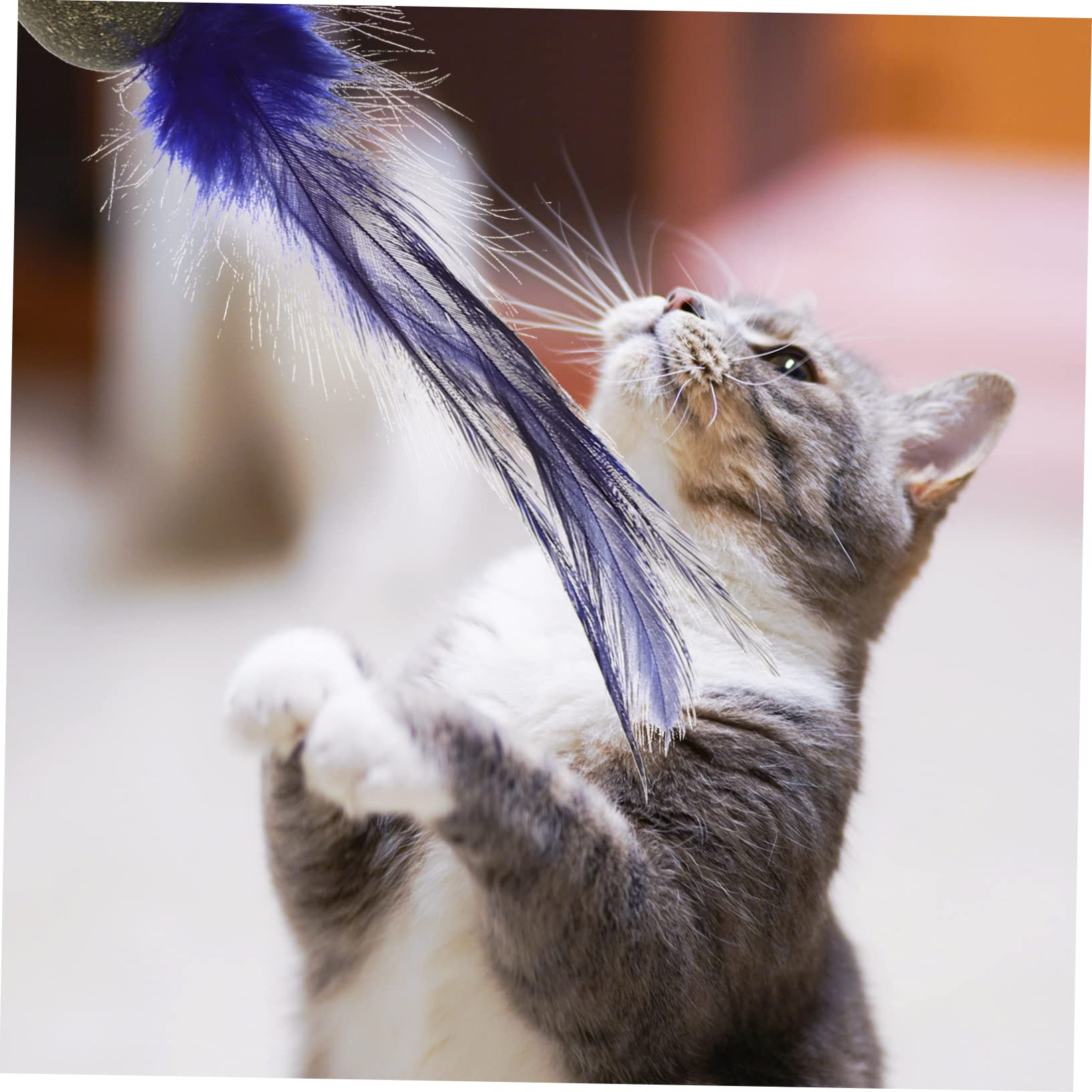 Didiseaon 16 Piezas Juguete para Gatos Juguetes De Gatera para Ratones Gato De Interior Juguete Molar para Mascotas Cosas De Gatos Juguetes Interactivos para Masticar Modelo