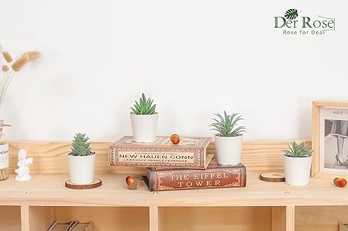 Miniatura 6 de Un paquete de 6 plantas falsas suculentas y 4 paquetes de plantas falsas mini plantas artificiales en maceta para decoración del hogar interior