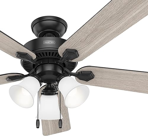 Miniatura 2 de Hunter Fan Ventilador de techo de interior con acabado negro mate de 52 pulgadas con kit de luz LED y cadena de tracción (renovado)