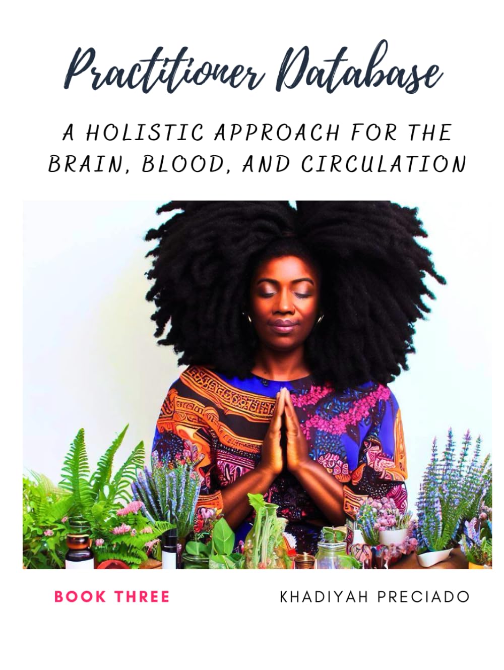 Practitioner Database (Book Three): A Holistic Approach for the Brain, Blood, and Circulation (Practitioner Database Collection)