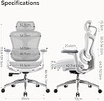 SIHOO Doro C300 Ergonomic Office Chair with Ultra Soft 3D Armrests, Dynamic Lumbar Support for Home Office Chair, Adjustable Backrest Desk Chair, Swivel Big and Tall Computer Chair (Grey)