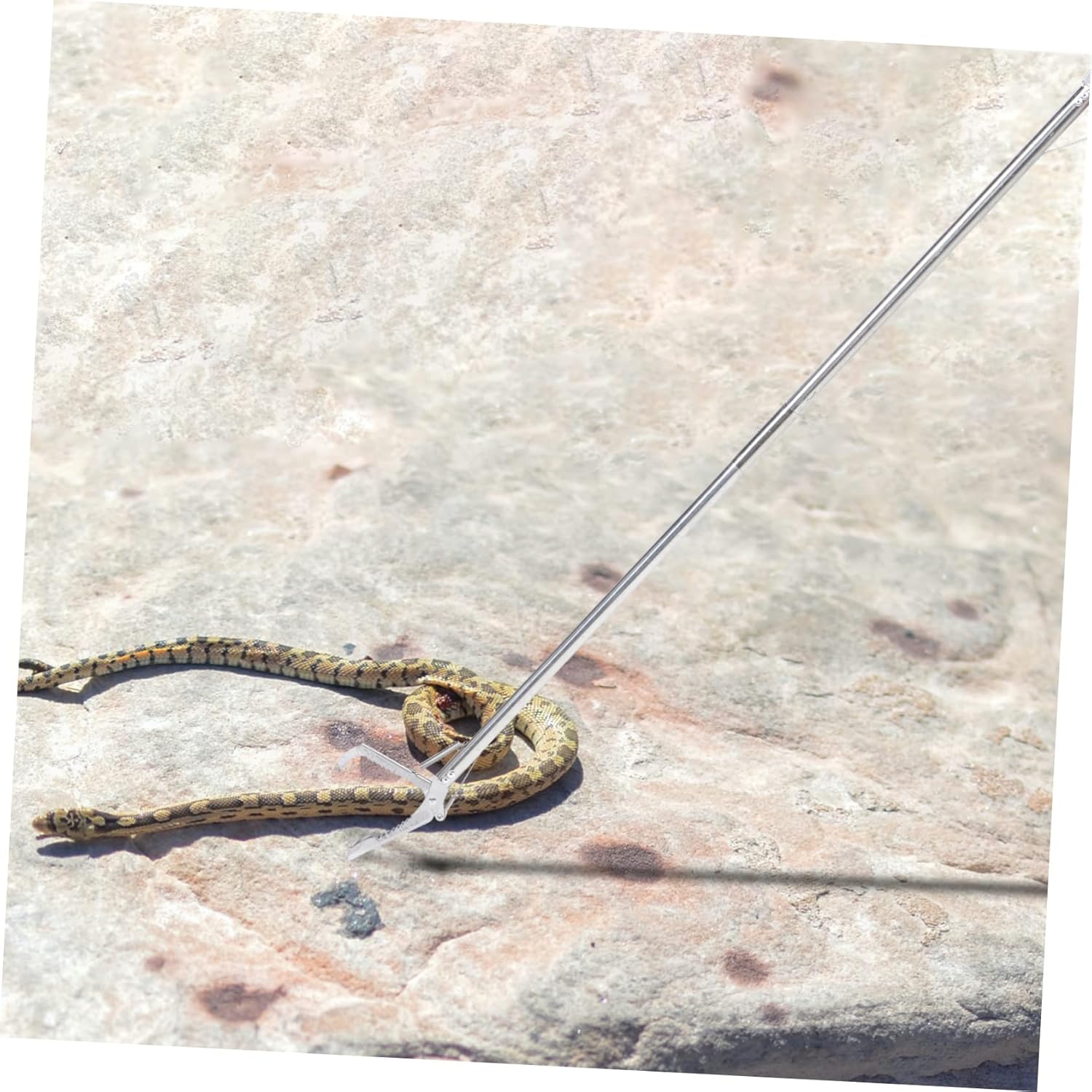 balacoo Stainless Steel Snake Catcher Tool Tongs Reptile Grabber Lock Lightweight and Portable Snake Catcher Clip for Handling Reptiles