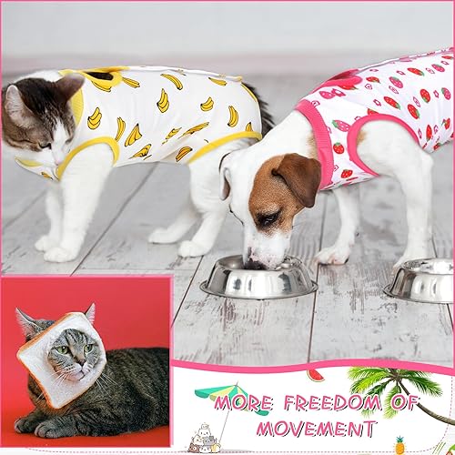 Miniatura 10 de Traje de recuperación de 3 piezas para gatos, traje de recuperación de gatito, alternativa de cuello electrónico para gatos y perros, traje de
