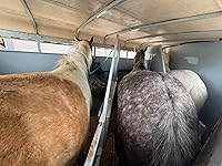 Review Image by Caileigh Rosen Caileigh Rosen