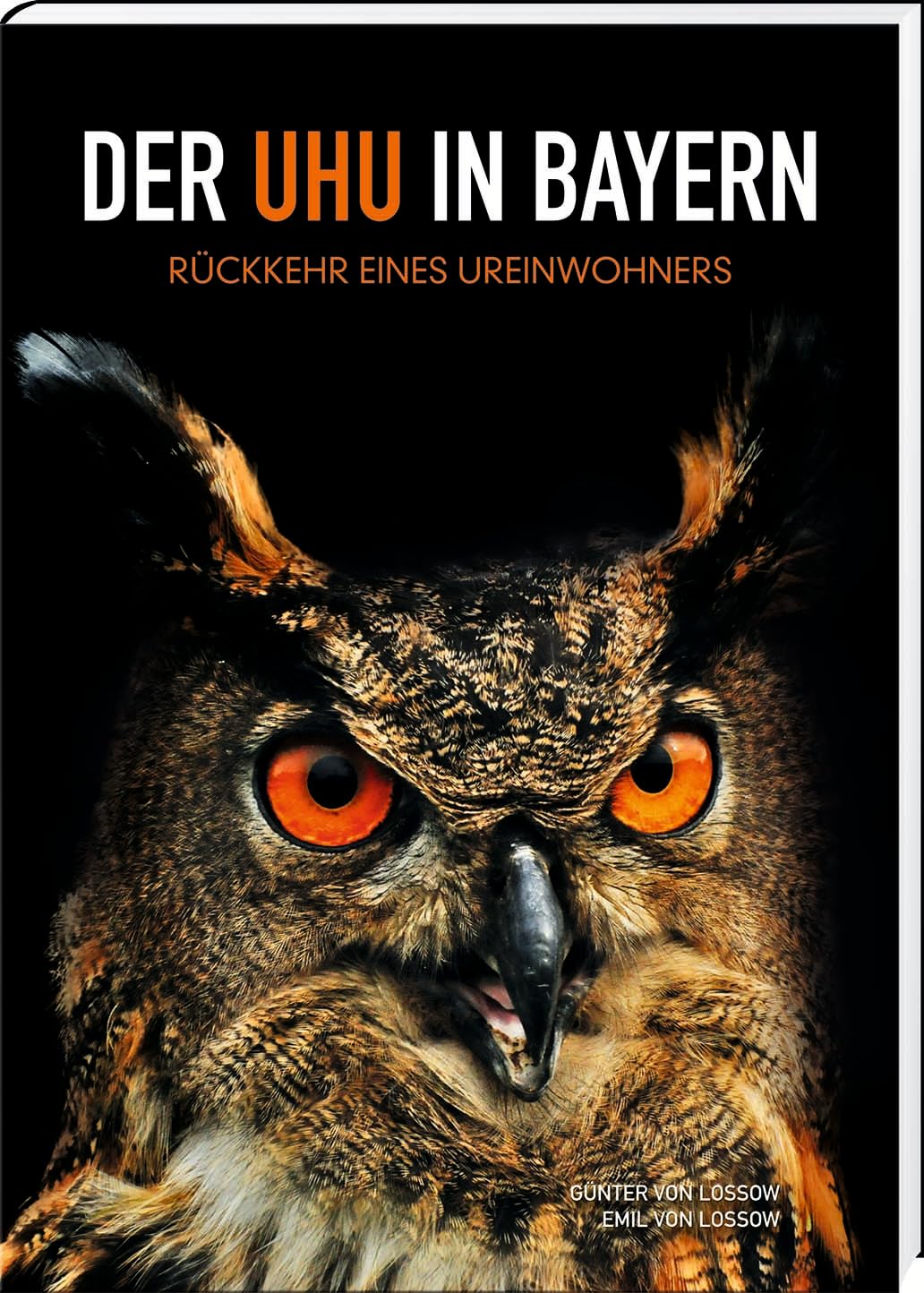 Der Uhu in Bayern: Rückkehr eines Ureinwohners