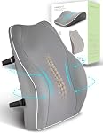Coussin de Support Lombaire Ergonomique, Coussin de Soutien Dossier en Mousse à Mémoire TRAVEL EASE pour Chaises de Bureau avec Housse Douce pour Confort Noir