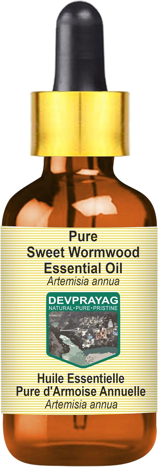 Pure Sweet Wormwood Essential Oil (Artemisia annua) with Glass Dropper Steam Distilled 5ml