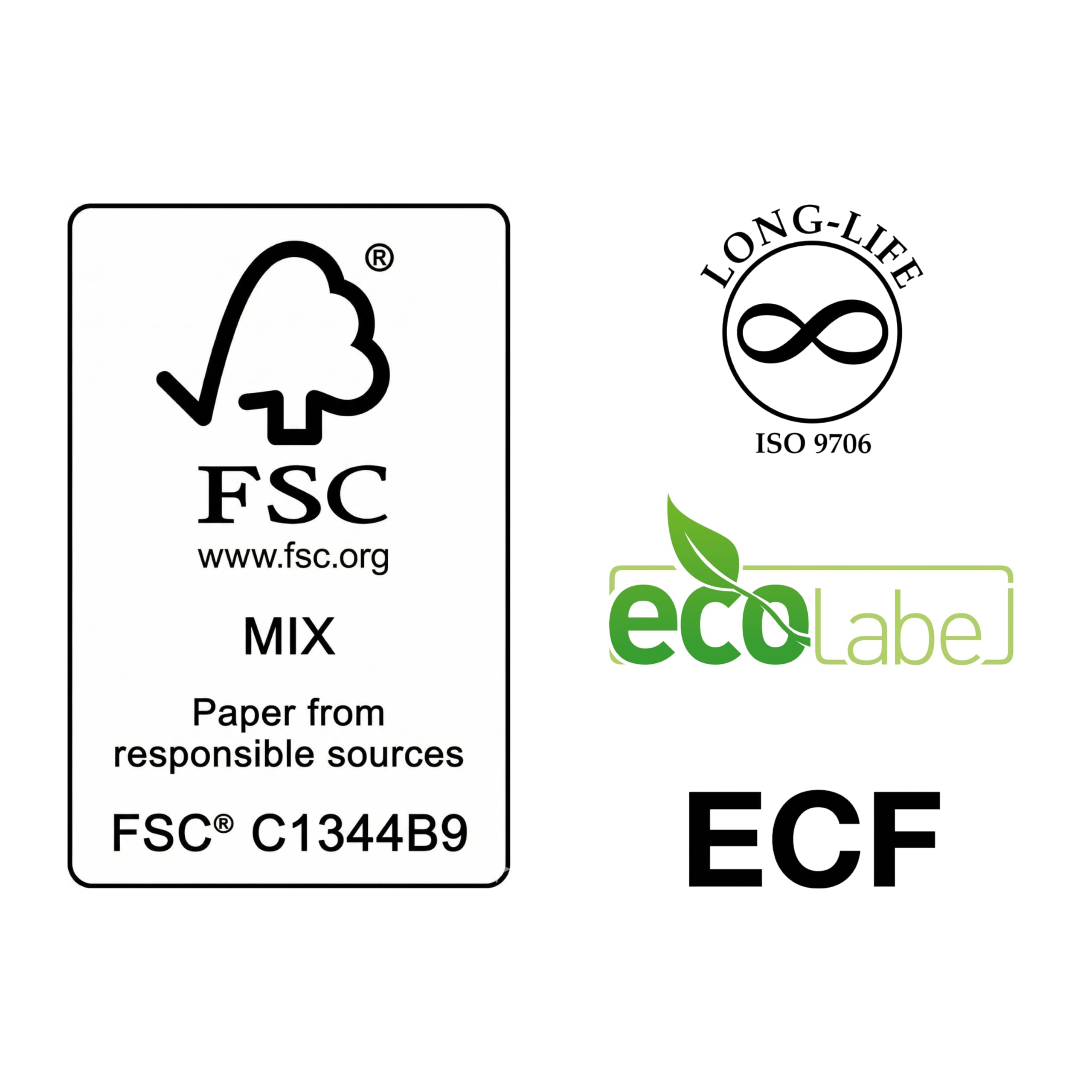 Everyday Carta A4 Pacco 5 Risme 2500 Fogli per Stampante Laser Inkjet FSC ECF