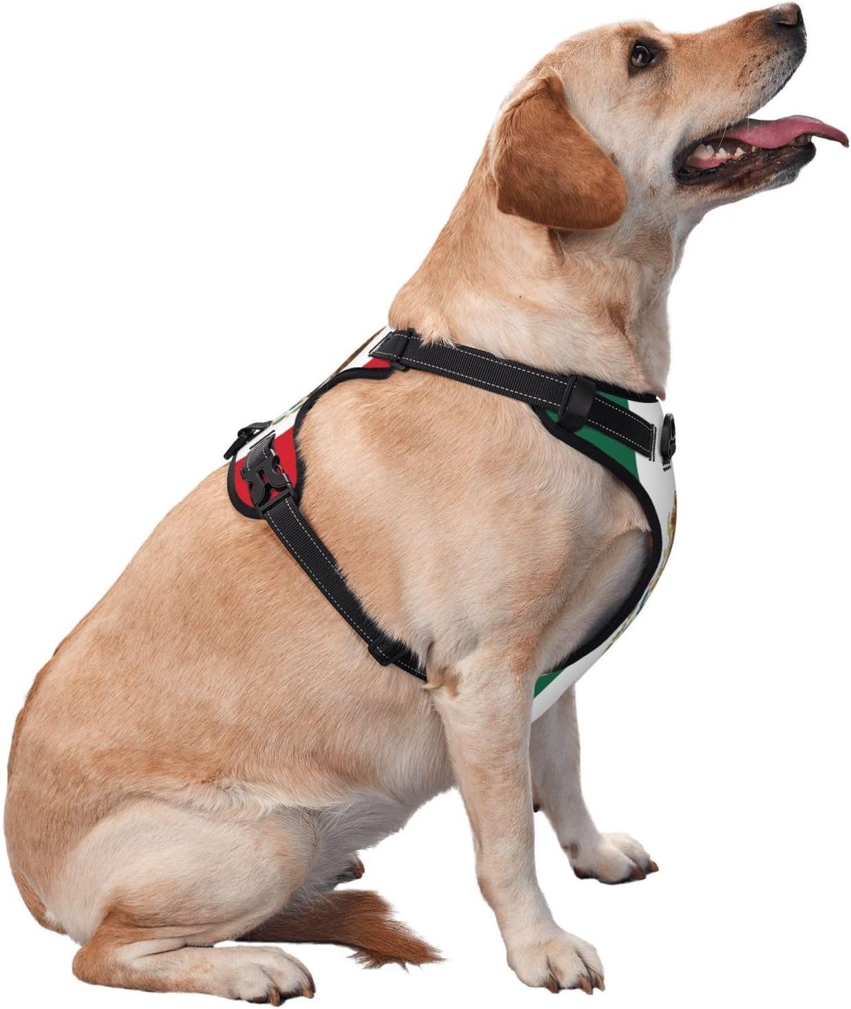 Flag of Mexico No Pull Dog Vest Harness for Small Medium Large Dog Puppy Pets Cats Outdoor Walking