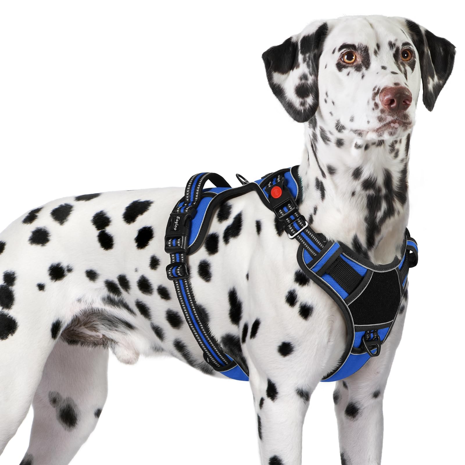 Eagloo Harnais pour chiens de grande taille, harnais réglable anti-traction pour chien avec 3 boucles, harnais rembourré doux, facile à promener avec poignée, gilet réfléchissant anti-étranglement