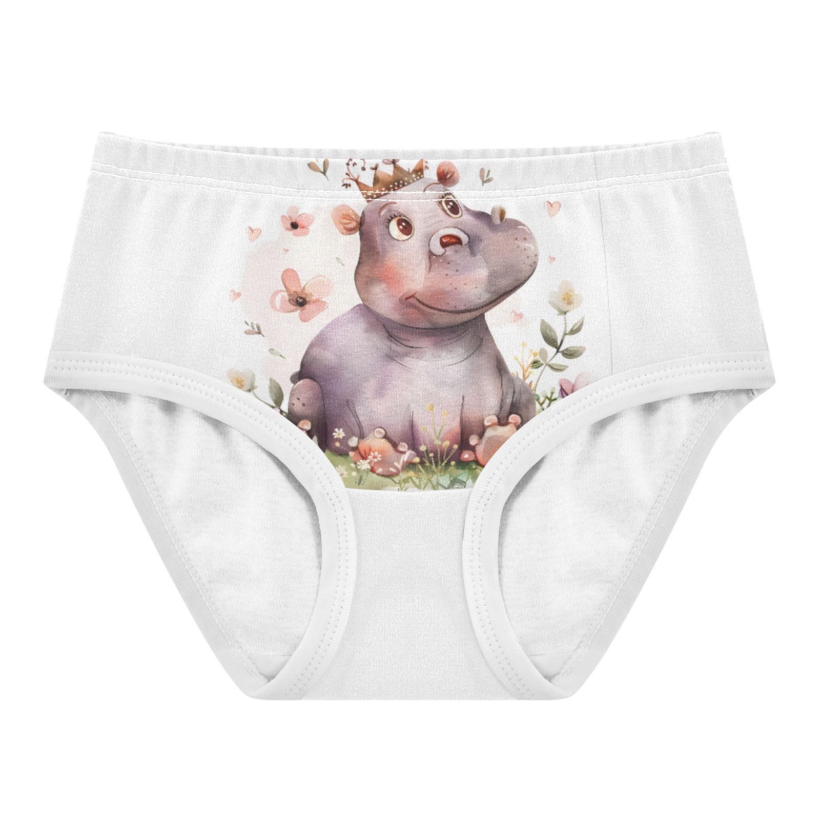 ALAZA Toddler Girls Cotton Hipster Underwear Soft Little Princess Hippo 2 Pack 2T